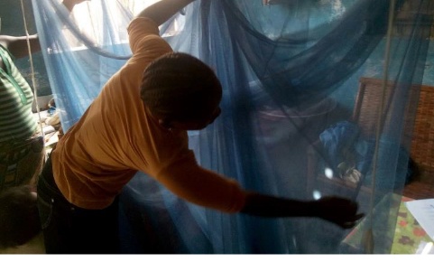 inspection-moustiquaire-IRDjpg